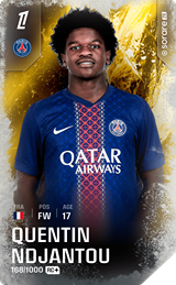 Quentin Ndjantou - limited