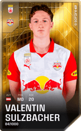 Valentin Sulzbacher - limited