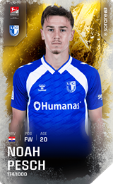 Noah Pesch - limited