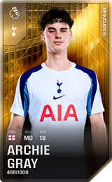 Archie Gray - limited