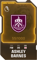 Ashley Barnes - limited