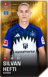 Silvan Hefti - limited