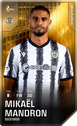 Mikaël Mandron - limited