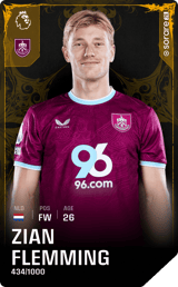 Zian Flemming - limited