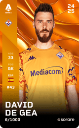 David de Gea - limited