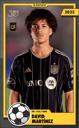 David Martínez - limited