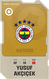 Yusuf Akçiçek - limited