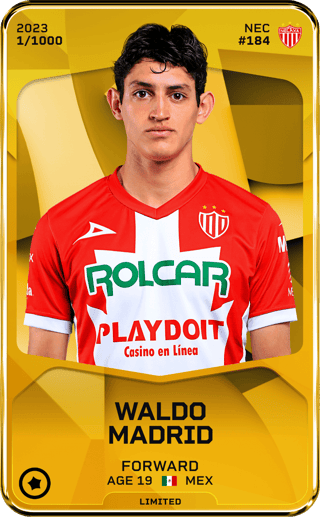 Waldo Madrid