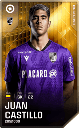 Juan Castillo - limited