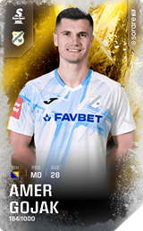 Amer Gojak - limited