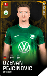 Dženan Pejčinović - limited