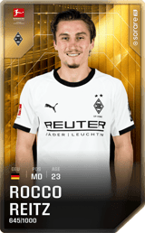 Rocco Reitz - limited