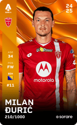 Milan Đurić - limited
