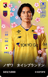 Taishi Brandon Nozawa - limited