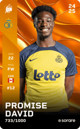 Promise David - limited