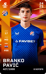 Branko Pavić - limited