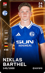 Niklas Barthel - limited