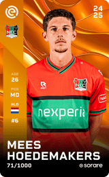 Mees Hoedemakers - limited