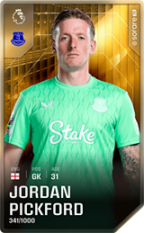 Jordan Pickford - limited