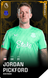 Jordan Pickford - limited