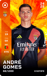 André Gomes - limited