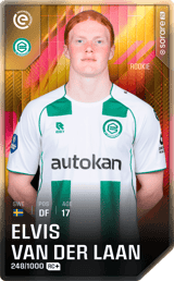 Elvis van der Laan - limited