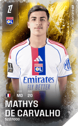 Mathys de Carvalho - limited
