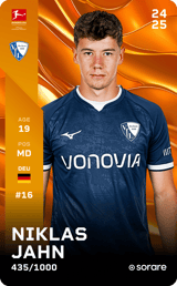 Niklas Jahn - limited