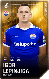 Igor Lepinjica - limited