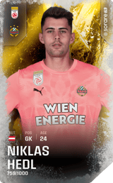 Niklas Hedl - limited