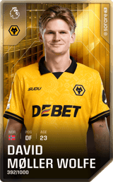David Møller Wolfe - limited