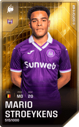 Mario Stroeykens - limited