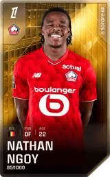 Nathan Ngoy - limited