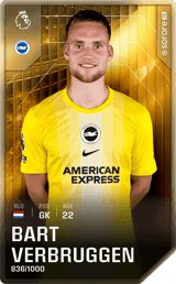 Bart Verbruggen - limited