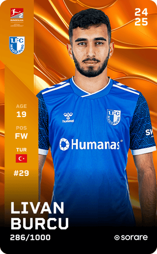 Livan Burcu - limited