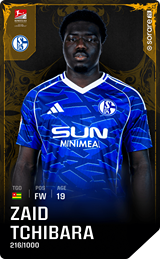 Zaid Amoussou-Tchibara - limited