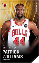 Patrick Williams - limited