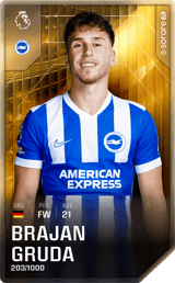 Brajan Gruda - limited