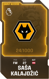 Saša Kalajdžić - limited