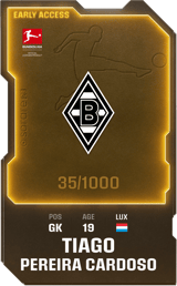 Tiago Pereira Cardoso - limited