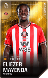 Eliezer Mayenda - limited