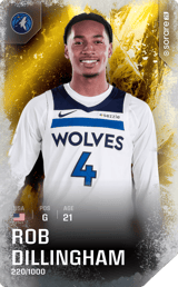 Rob Dillingham - limited