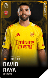 David Raya - limited