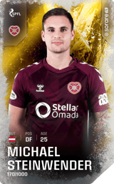 Michael Steinwender - limited