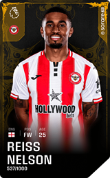 Reiss Nelson - limited