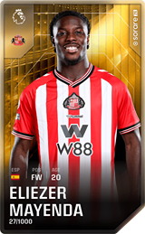 Eliezer Mayenda - limited