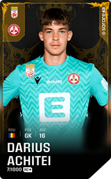 Darius Achitei - limited