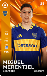 Miguel Merentiel - limited