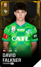 David Falkner - limited