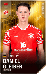 Daniel Gleiber - limited